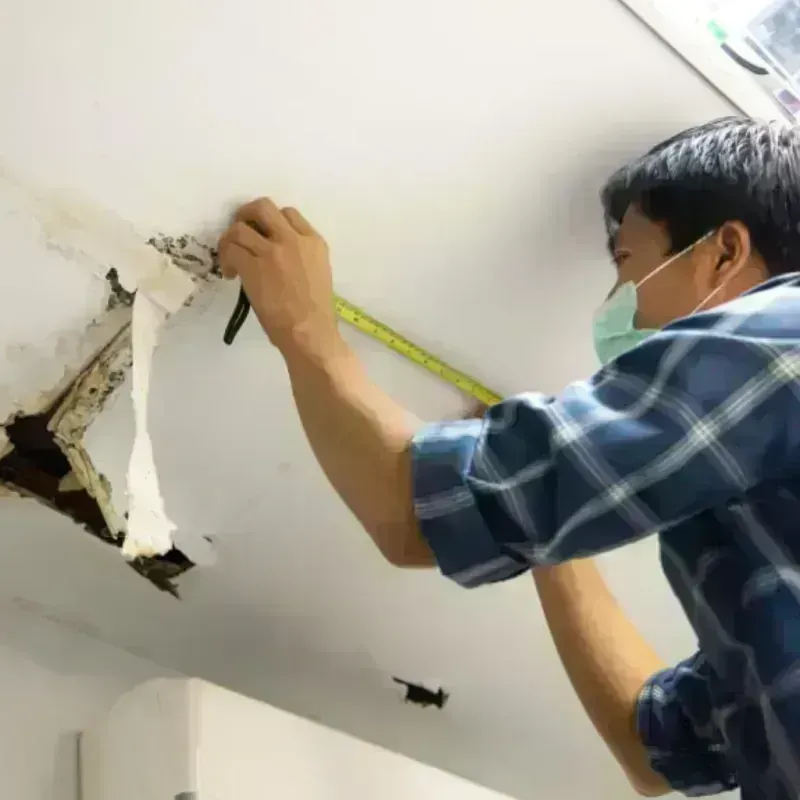 Ceiling And Wall Water Damage in Friendship Village, MD